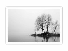 Misty Lake Canvas Art Print