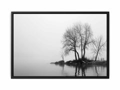 Misty Lake Canvas Art Print