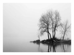 Misty Lake Canvas Art Print