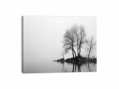 Misty Lake Canvas Art Print