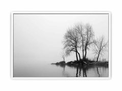 Misty Lake Canvas Art Print