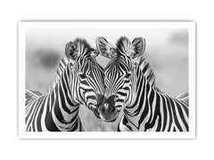 Two Zebras Canvas Art Print