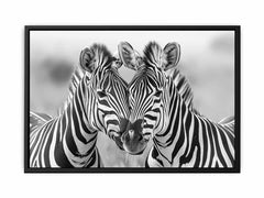 Two Zebras Canvas Art Print