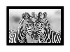 Two Zebras Canvas Art Print