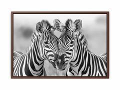 Two Zebras Canvas Art Print