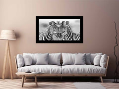 Two Zebras Canvas Art Print