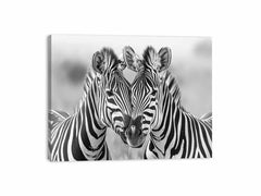 Two Zebras Canvas Art Print