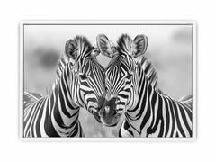 Two Zebras Canvas Art Print