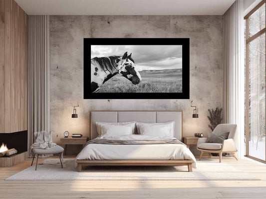 Horse Black & white Photography Canvas Art Print