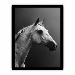 Horse Canvas Art Print Poster