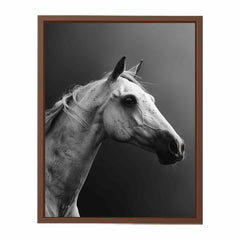 Horse Canvas Art Print Poster