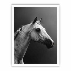 Horse Canvas Art Print Poster