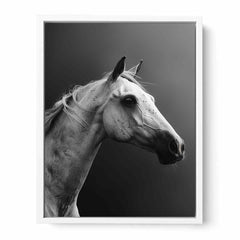 Horse Canvas Art Print Poster