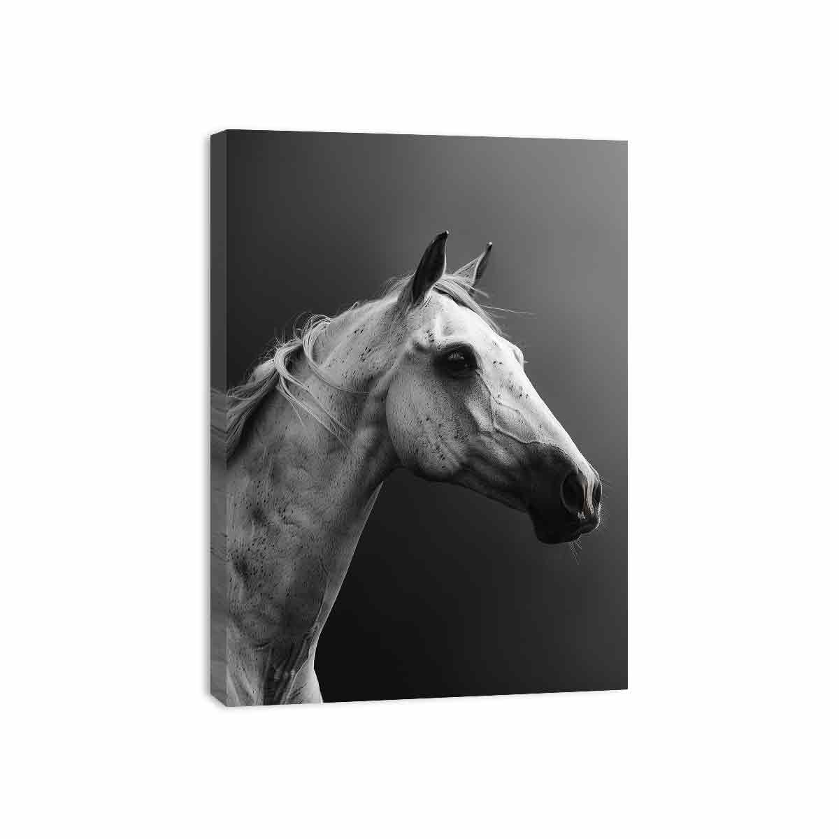 Horse Canvas Art Print Poster