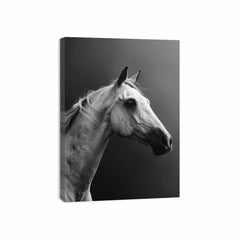 Horse Canvas Art Print Poster