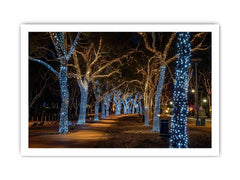 Lights  Canvas Art Print