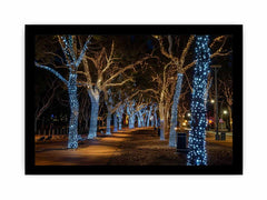 Lights  Canvas Art Print