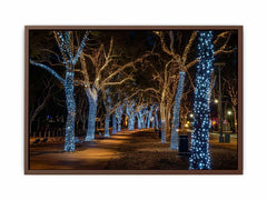 Lights  Canvas Art Print