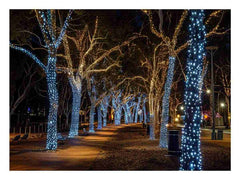 Lights  Canvas Art Print