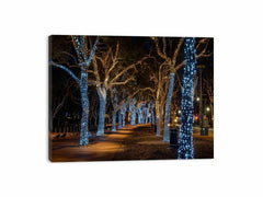 Lights  Canvas Art Print