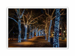 Lights  Canvas Art Print