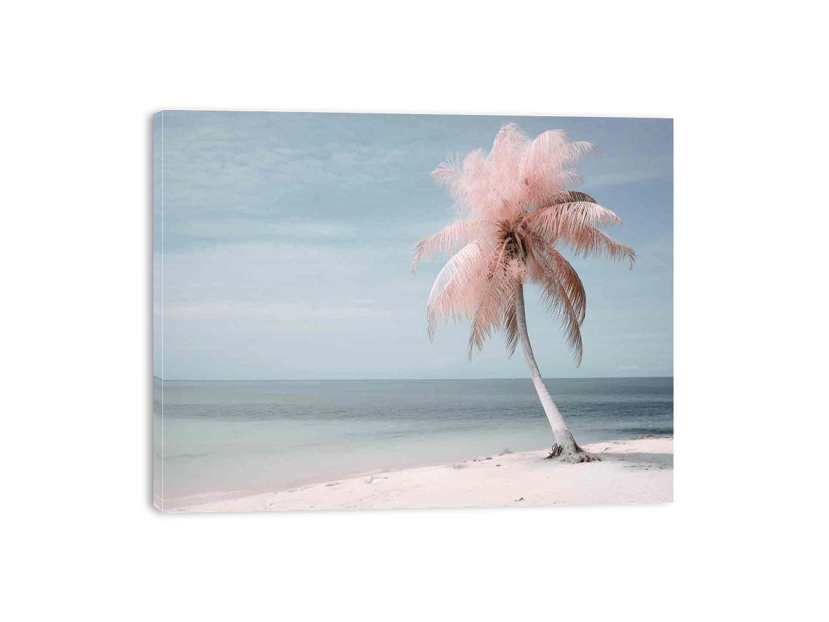 Silver Pink Beach Tree Canvas Art Print