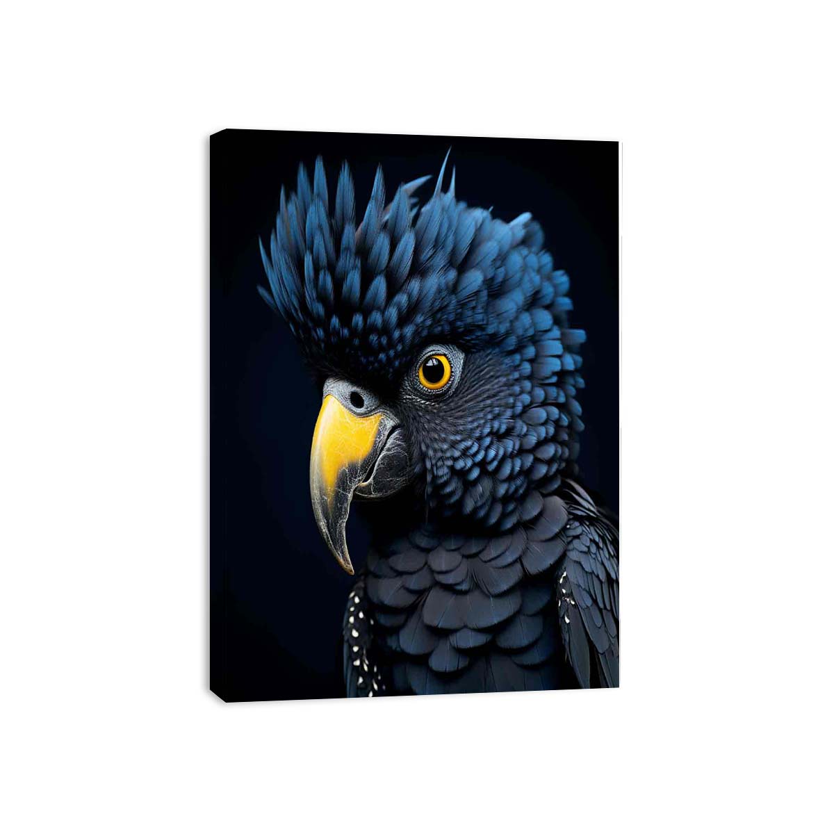 Cockatoo Bird Canvas Art Print