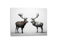 Eye To Eye Stags Canvas Art Print
