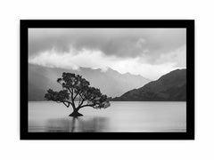 Isolated Tree Canvas Art Print