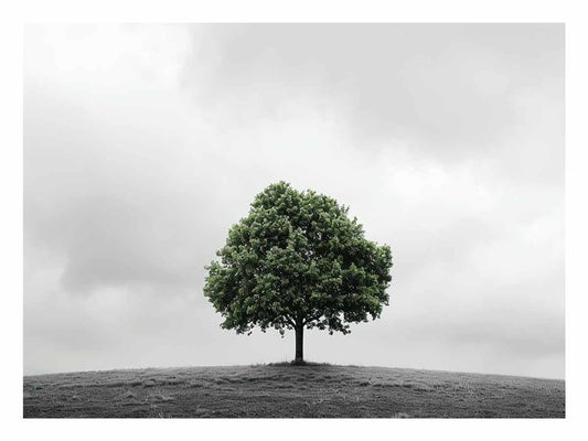 Green Tree Canvas Art Print