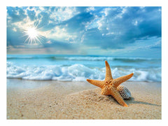 Starfish on Beach  Canvas Art Print
