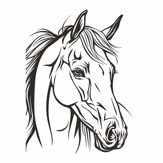 Horse  Line Art Balck white Canvas Art Print