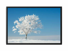 Solitary Tree  Canvas  Art Print