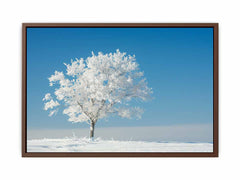 Solitary Tree  Canvas  Art Print