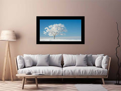 Solitary Tree  Canvas  Art Print