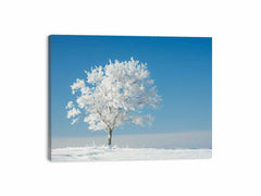 Solitary Tree  Canvas  Art Print