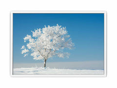 Solitary Tree  Canvas  Art Print