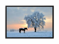 Horse In Winter  Canvas Art Print