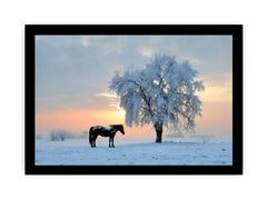 Horse In Winter  Canvas Art Print