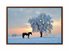 Horse In Winter  Canvas Art Print