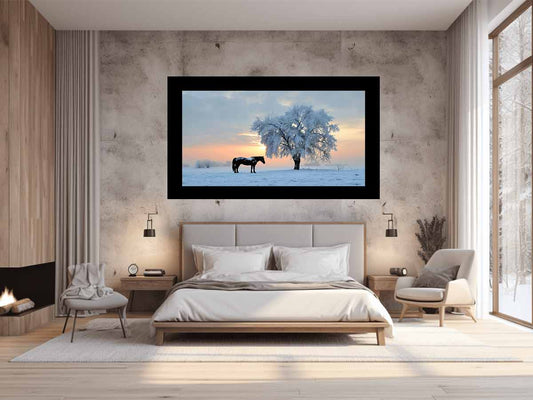 Horse In Winter  Canvas Art Print
