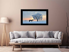 Horse In Winter  Canvas Art Print