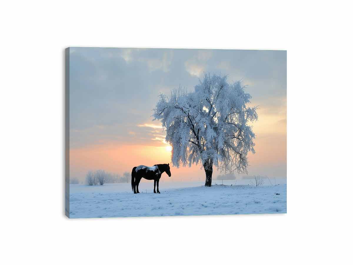 Horse In Winter  Canvas Art Print