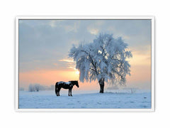 Horse In Winter  Canvas Art Print