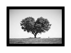 Tree Heart  Black and white Photography Canvas Art Print