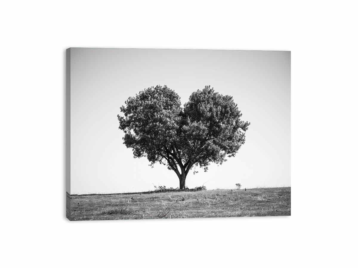 Tree Heart  Black and white Photography Canvas Art Print