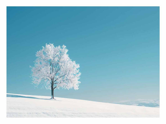Winter Snow Tree Photography Art   Canvas Art Print