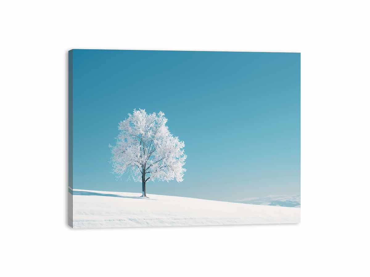 Winter Snow Tree Photography Art   Canvas Art Print