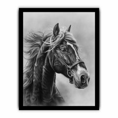 Lovely Horse  balck & white Canvas Painting