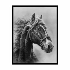 Lovely Horse  balck & white Canvas Painting